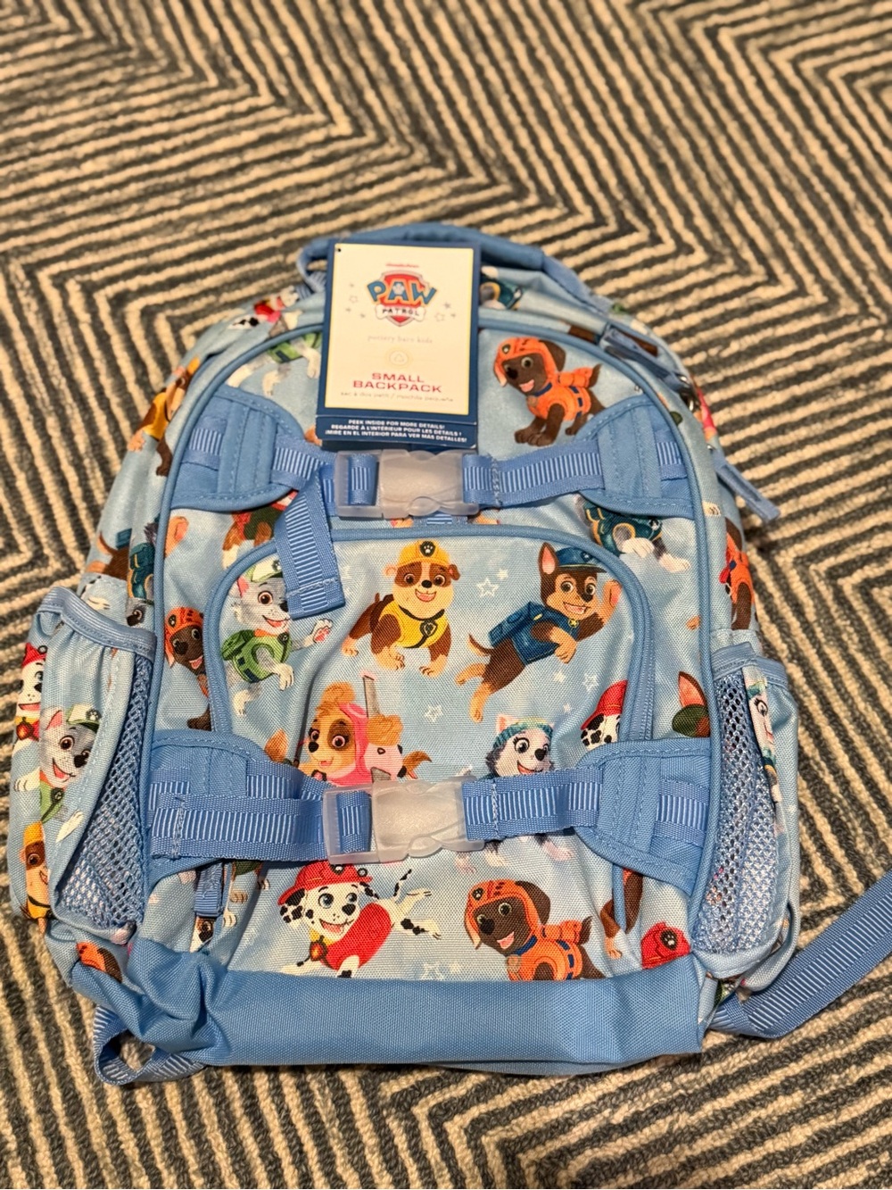 Pottery Barn Kids Light Blue Paw Patrol Small Backpack